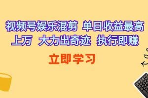 （10122期）视频号娱乐混剪  单日收益最高上万   大力出奇迹   执行即赚