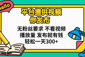 （14171期）平台提供视频 你发布 无粉丝要求 不看视频播放量 发布就有钱 轻松一天300+