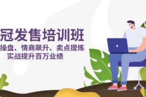 （14203期）销冠 发售培训班：发售 操盘+情商 飙升+卖点 提炼，实战提升百万业绩