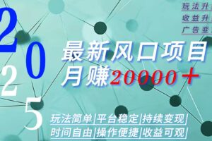 （15694期）2025广告赛道新风口-月赚2W＋玩法简单，时间自由