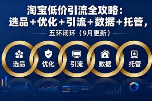 （16009期）淘宝低价引流全攻略：选品＋优化＋引流＋数据＋托管，五环闭环（9月更新）