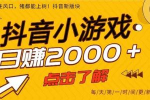 （16724期）25年爆火的抖音小游戏项目，一部手机日入2000+